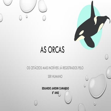 As Orcas: Fascinating Facts About the Ocean's Largest Dolphins | PPTX