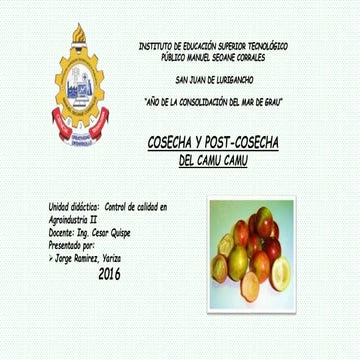 Cosecha y post- cosecha del camu camu