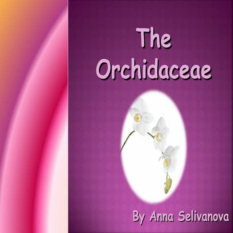 The Orchidaceae