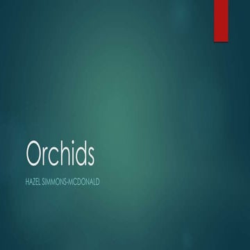 Orchids