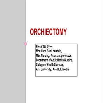 Orchiectomy