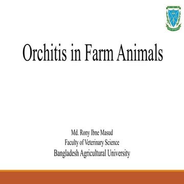 Orchitis in farm animals.pptx