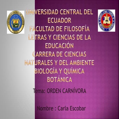 Orden carnívora por Carla Escobar