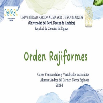 Peces: Orden Rajiformes (Rayas) | PPTX