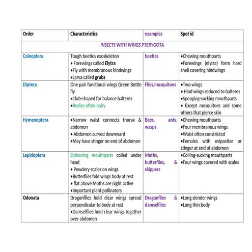 All about insects orders and their lives.docx