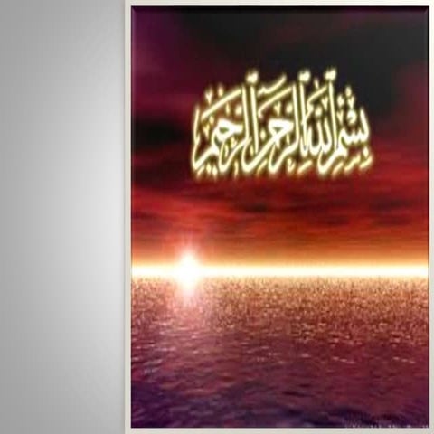 Order  Edentata or Xenarthra