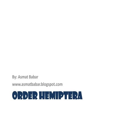 Order Hemiptera