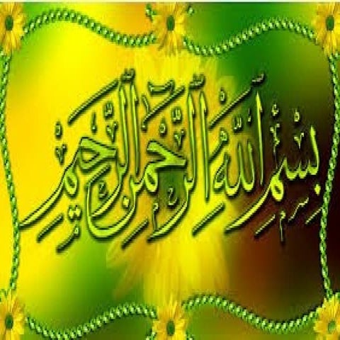 Order macroscelidea  Shared By Abdul Qahar Buneri AWKUM BUner Campus