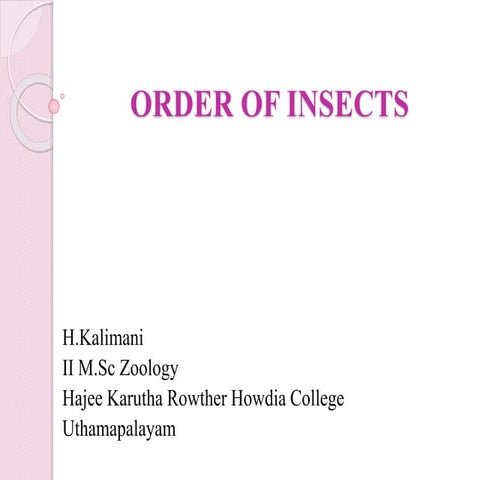 Order of insects