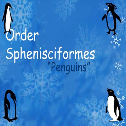 Order Sphenisciformes | PPTX