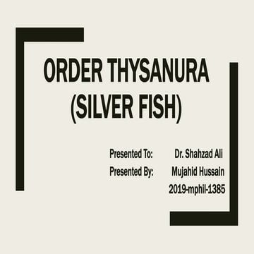 Order thysanura (silver fish)