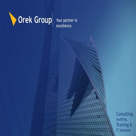Orek Consulting Group | Company Profile