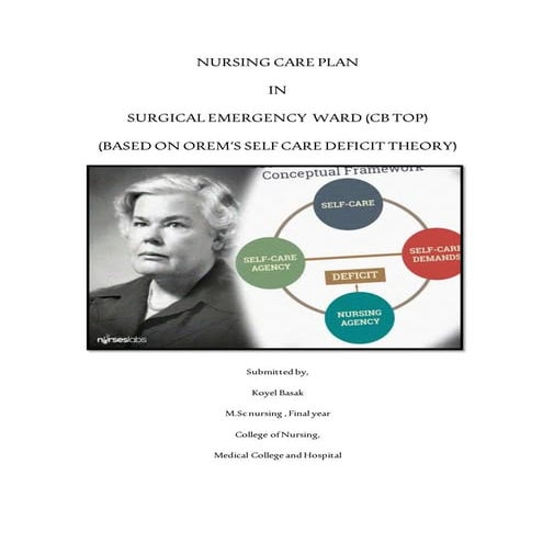 Theory based nursing care plan