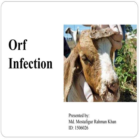 Orf infection