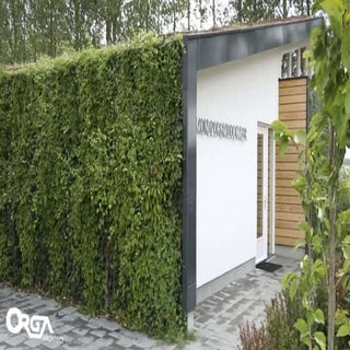 Orga architect presentatie buildin ...