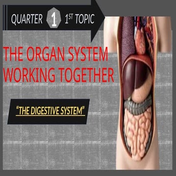 human ORGAN-SYSTEM-WORKING-TOGETHER.pptx
