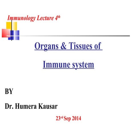 Organs of the Immune system | PPT