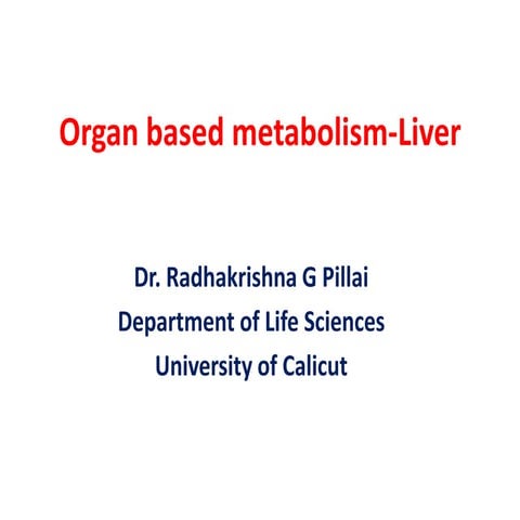 Organ based metabolism liver