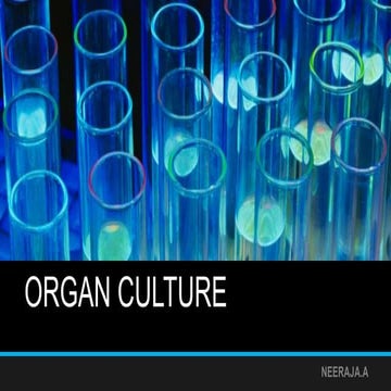 Organ culture technique in synthetic media-  animal tissue culture 