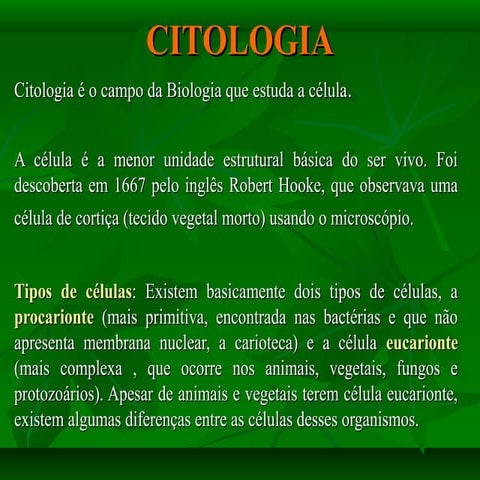 Organelas citoplasmáticas  resumo