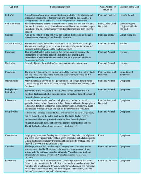 Cell Structures And Organelles Chart