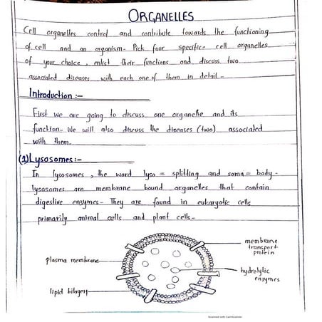 Organelles and associated diseases | PDF