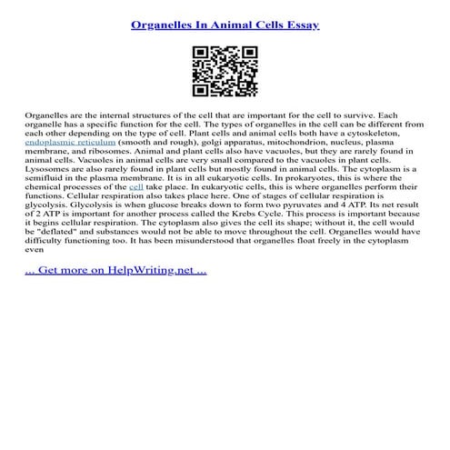 Organelles In Animal Cells Essay