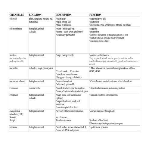 ORGANELLE table.docx