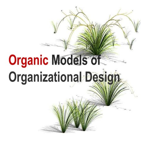 Organic Models of Organizational Design