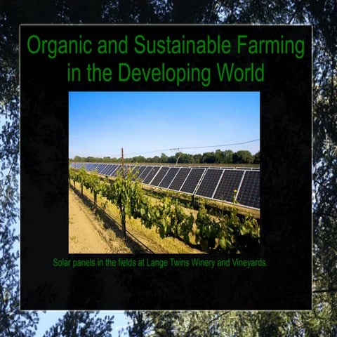 Organic Sustainability Presentation