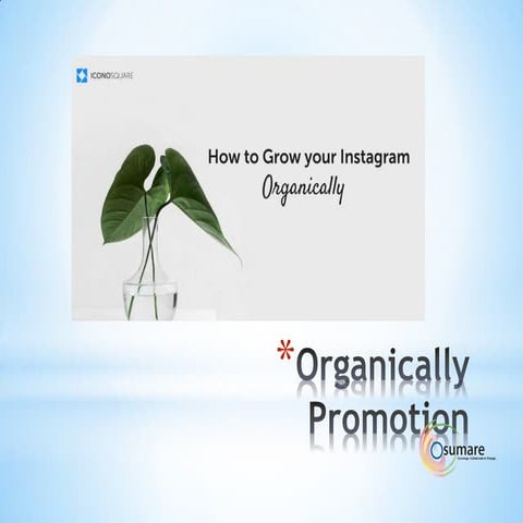 Organically insta pdf
