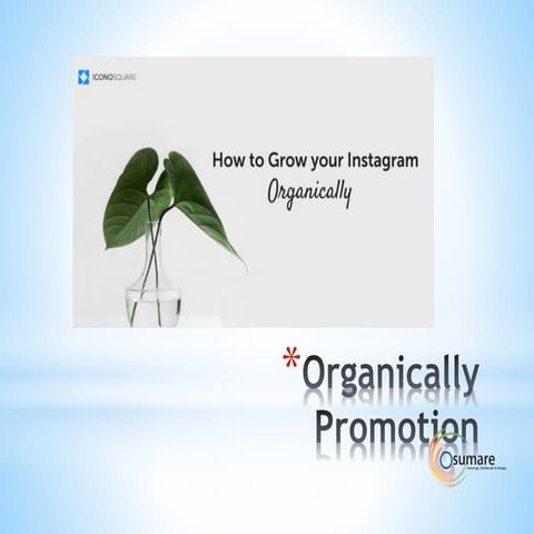 Organically insta ppt