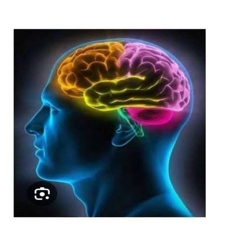 Unit XII Organic Brain Disorder, Dementia, Delirium, Organic Amnestic ...