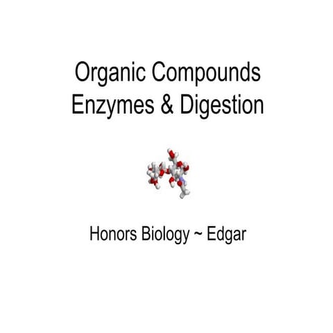 Honors - Organic compounds, enzymes and digestion 1213