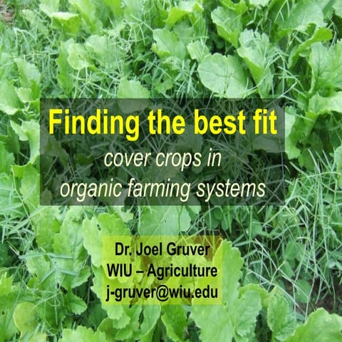 Cover Crops Decatur