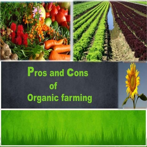  Organic farming by AisWarYa