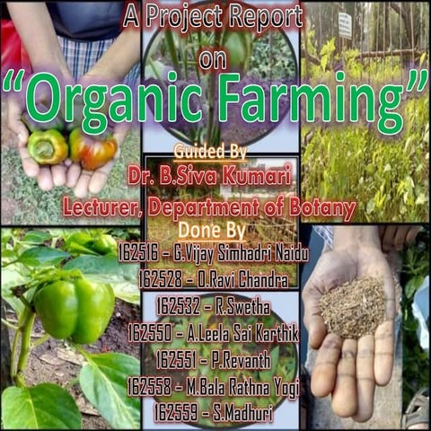 Organic Farming