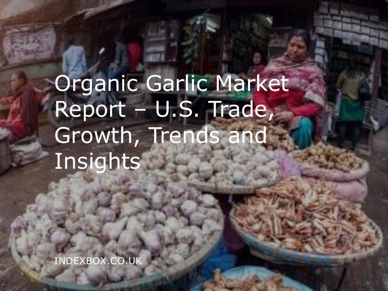 Organic Garlic Market Report U.S. Trade, Growth, Trends and Insights