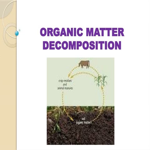 Process of humus formation | PPTX