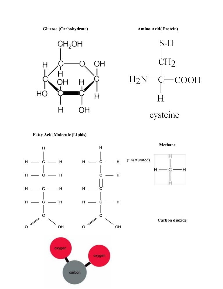Organic molecules pictures