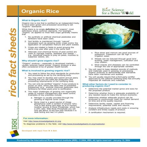 Organic rice