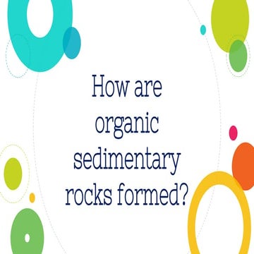 Organic Sedimentary Rocks List Rock Types