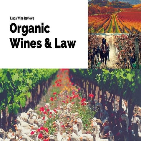 Organic wines & Law