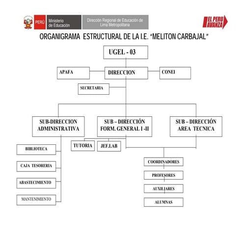 Organigrama estructural