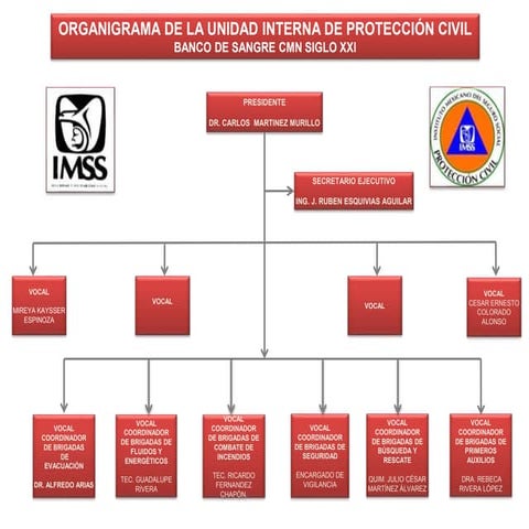 Organigrama Brigadas Protección Civil Banco Sangre | PPT
