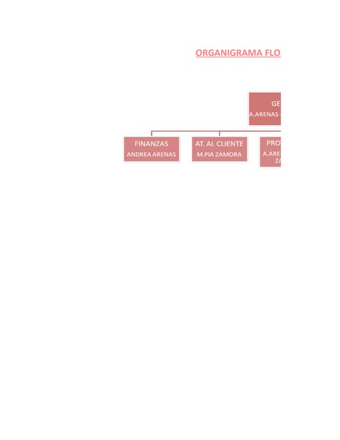 Organigrama cherry blossom