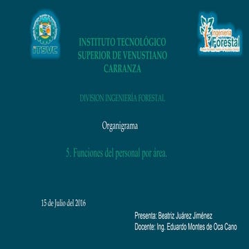 Organigrama de empresa forestal