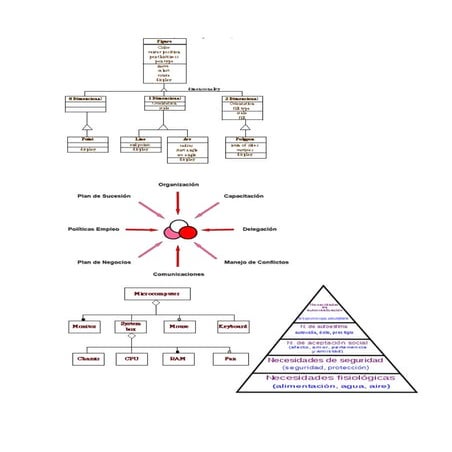Organigrama fondos | PDF