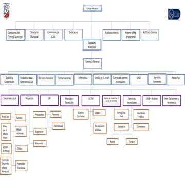 Organigrama_interactivo comentarios y casos de tarata