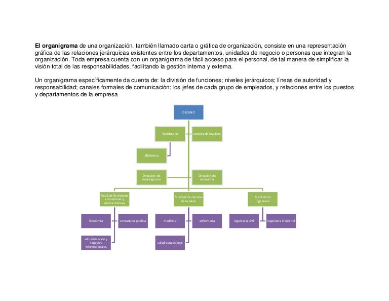 Organigrama Mapas Conceptuales Y Mentales Diagramas De Flujo